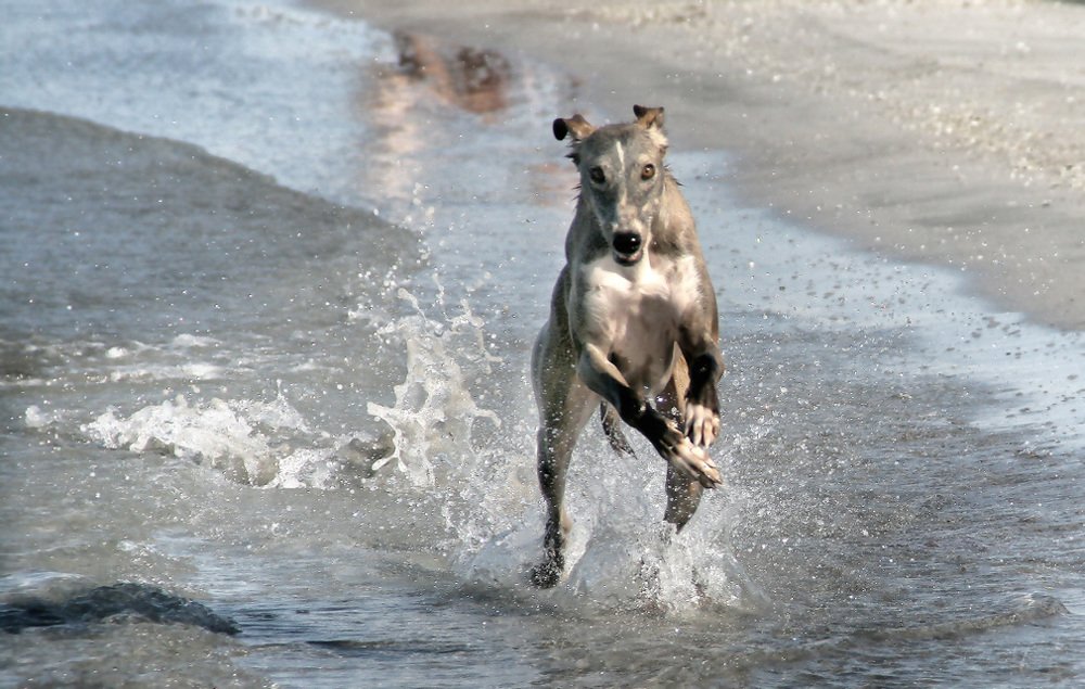 Photograph by Галина Ильясова