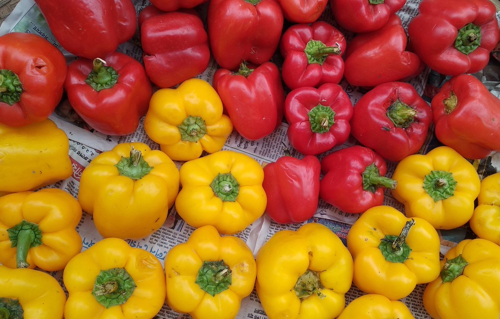 Photograph by Md Shamsul Haque Suza