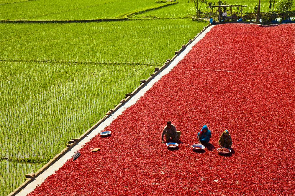 Photograph by Md Shamsul Haque Suza