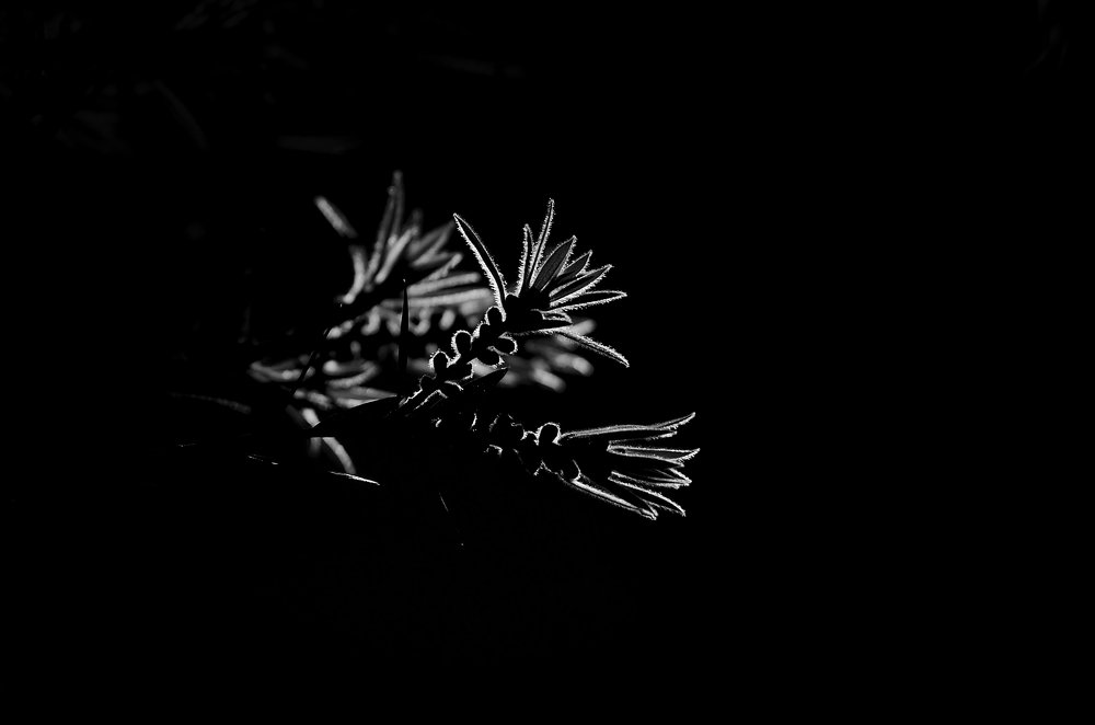 Photograph by Anastasiya Paramzina