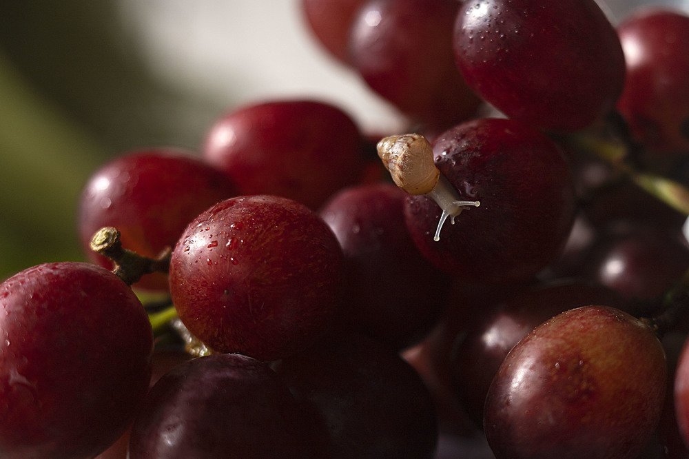 Photograph by Екатерина Вивюрская