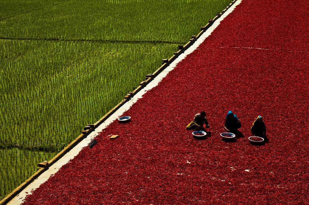 Photograph by Md Shamsul Haque Suza