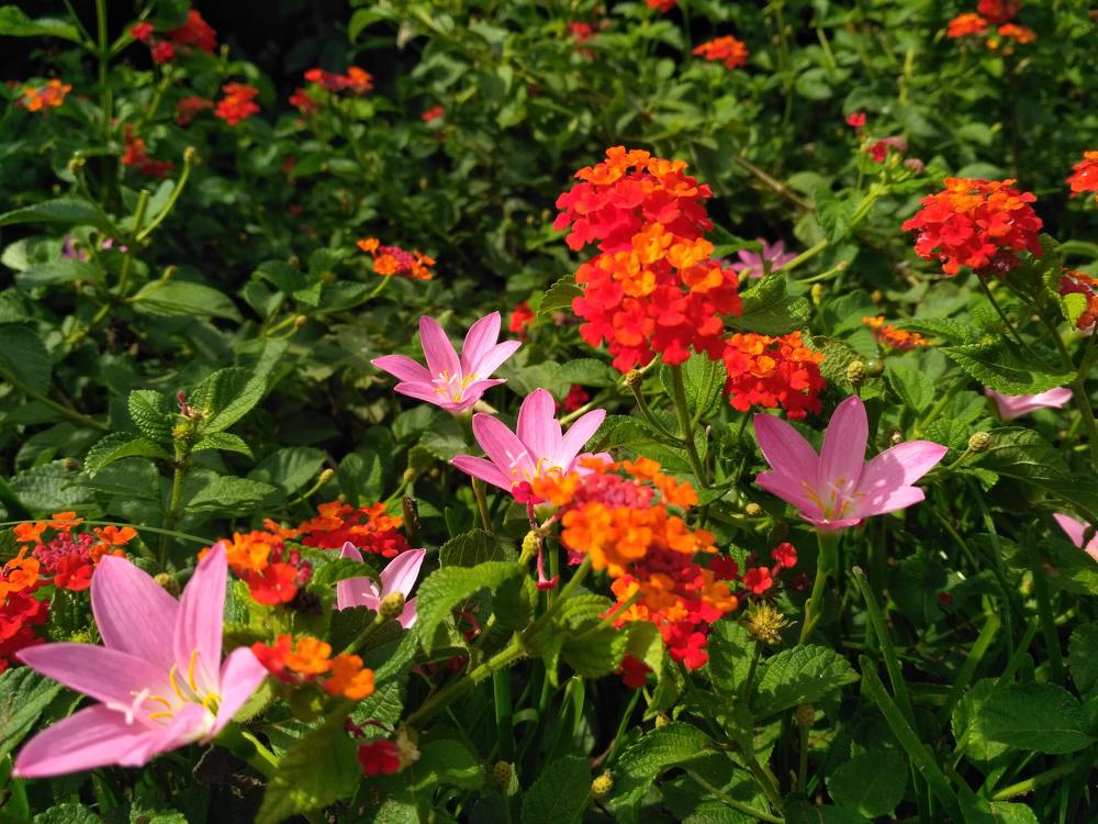 Photograph by Sakthivel Raja