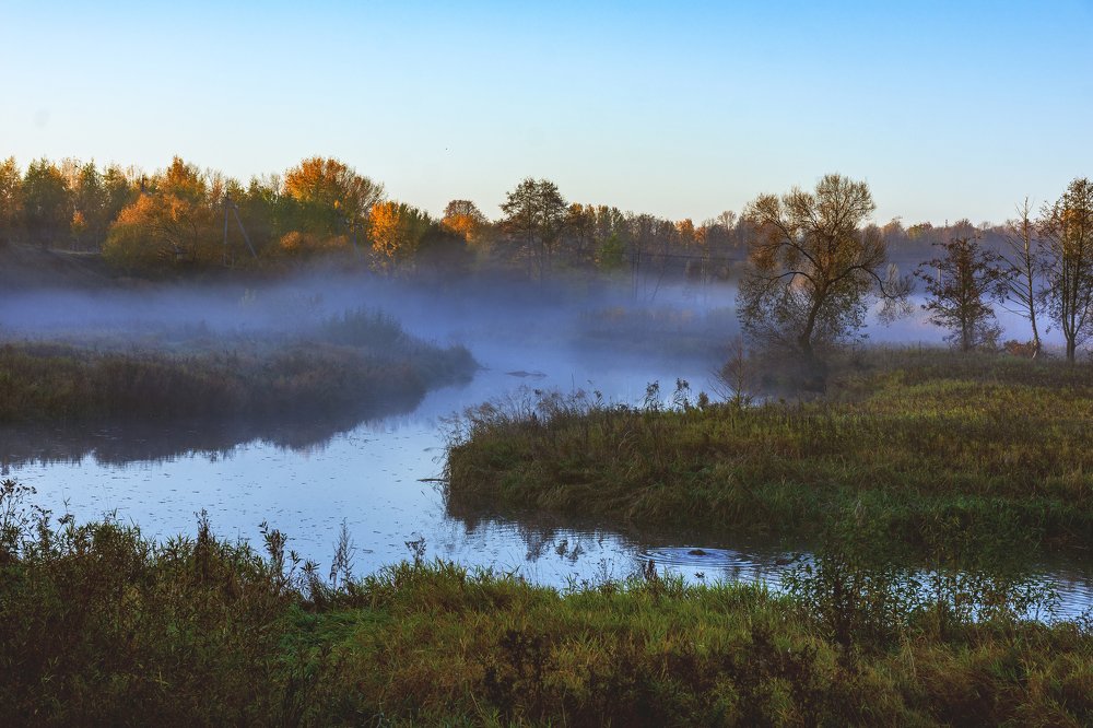 Photograph by Елена Стещенко