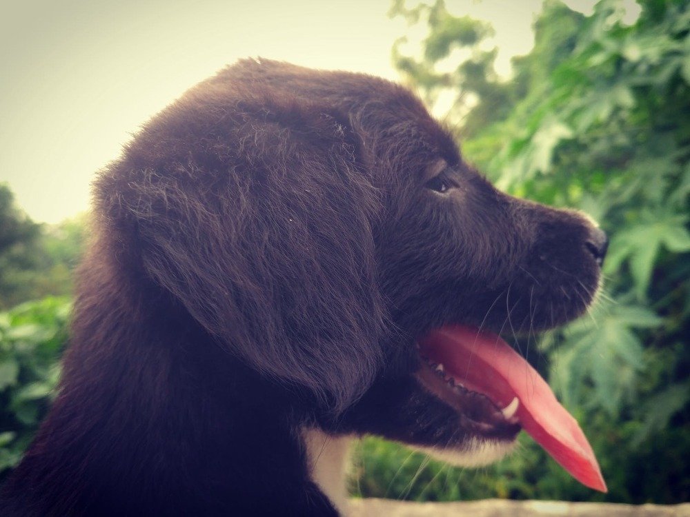 Photograph by Sakthivel Raja