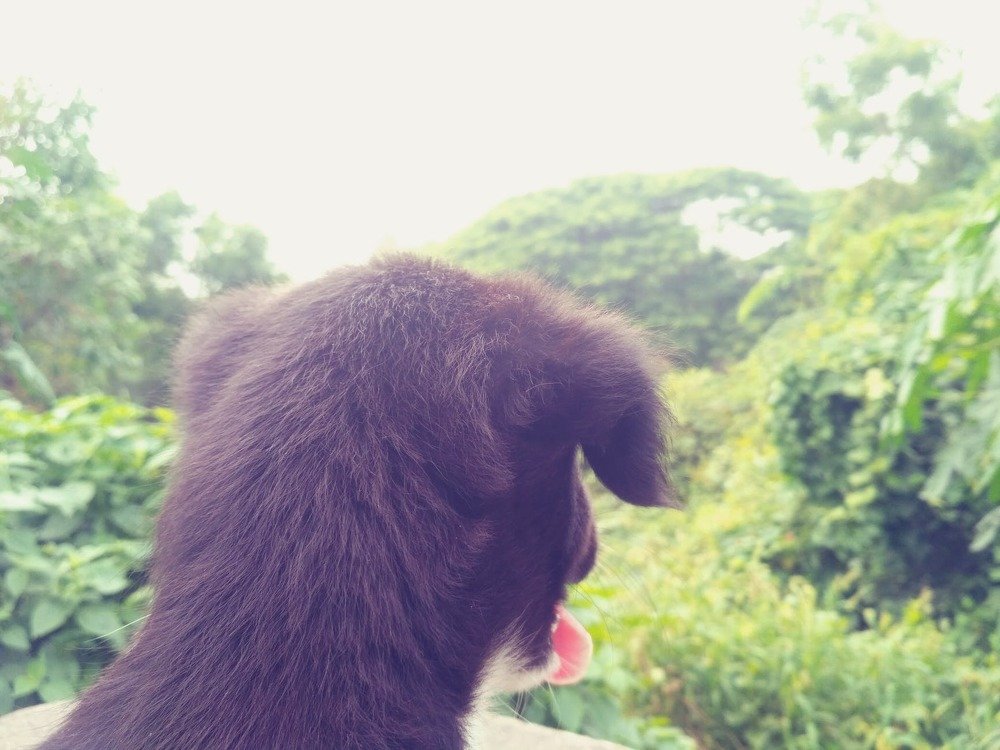 Photograph by Sakthivel Raja