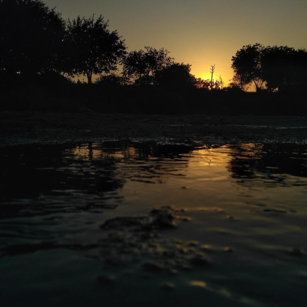 Photograph by Sakthivel Raja