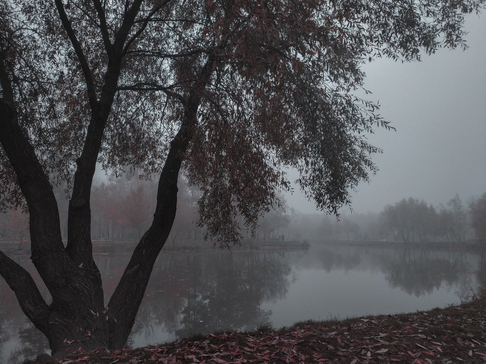 Photograph by Тория Швайнштайгер