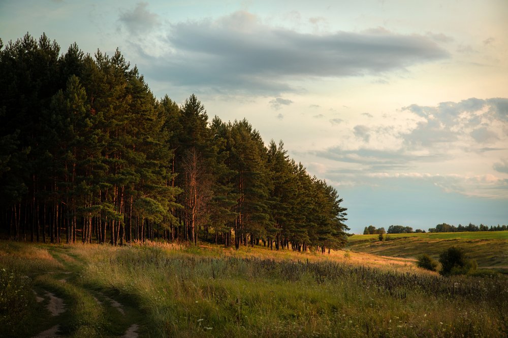 Photograph by Мария Бочкова