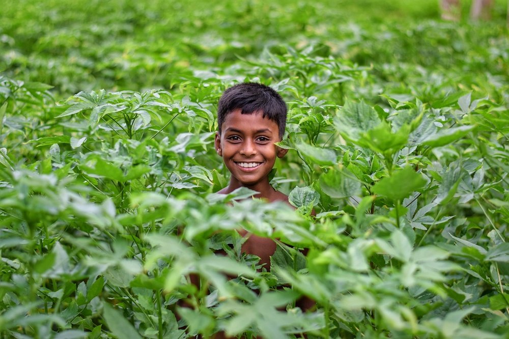 Photograph by  S.Tanvir Ahomed Rhidoy