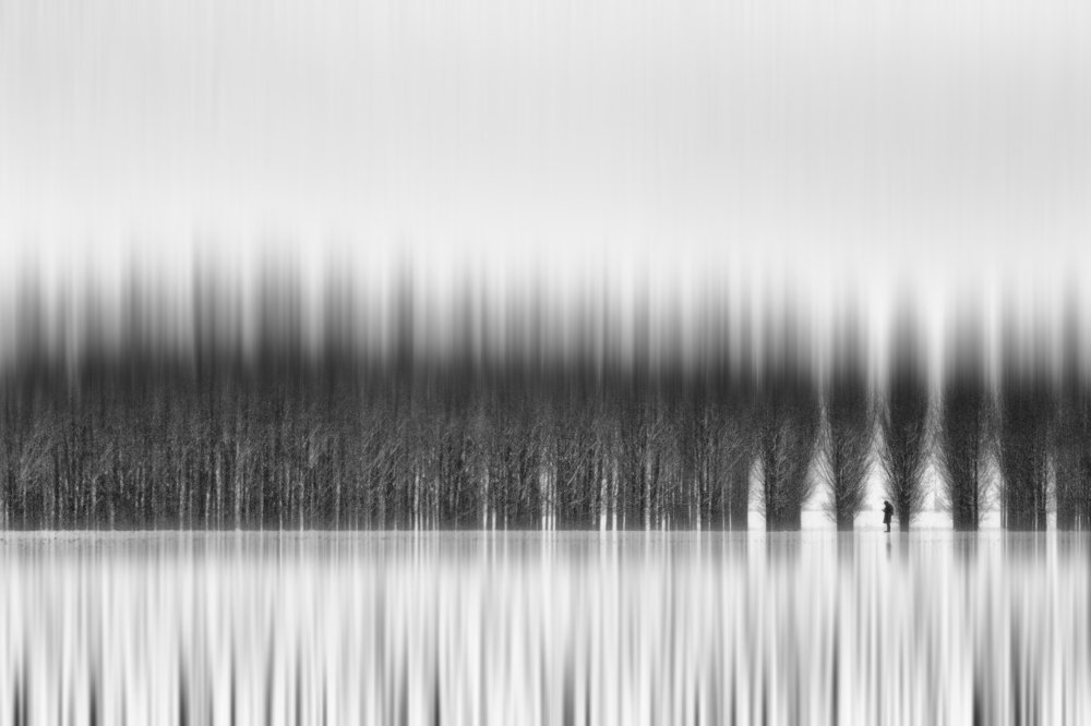 Photograph by Mihai Romeo Bogdan