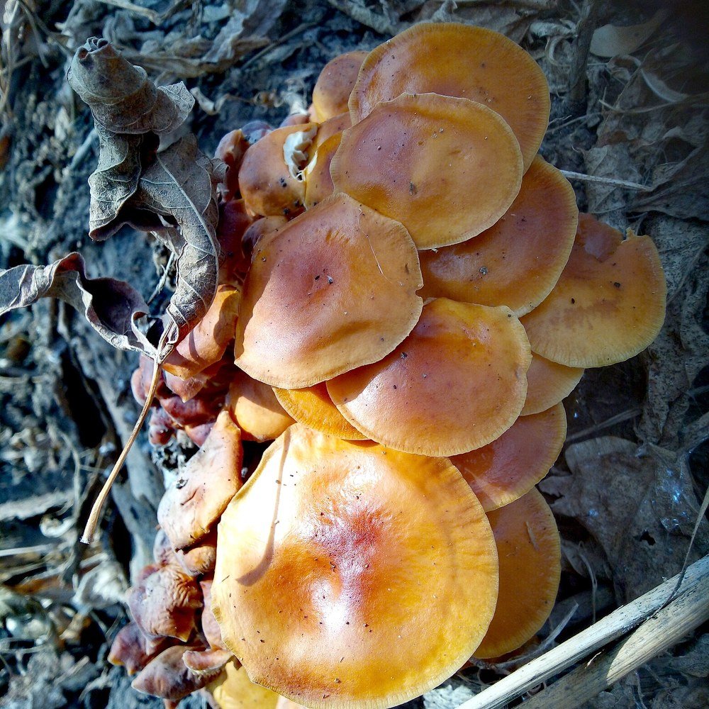 Photograph by Андрей Зеленкевич