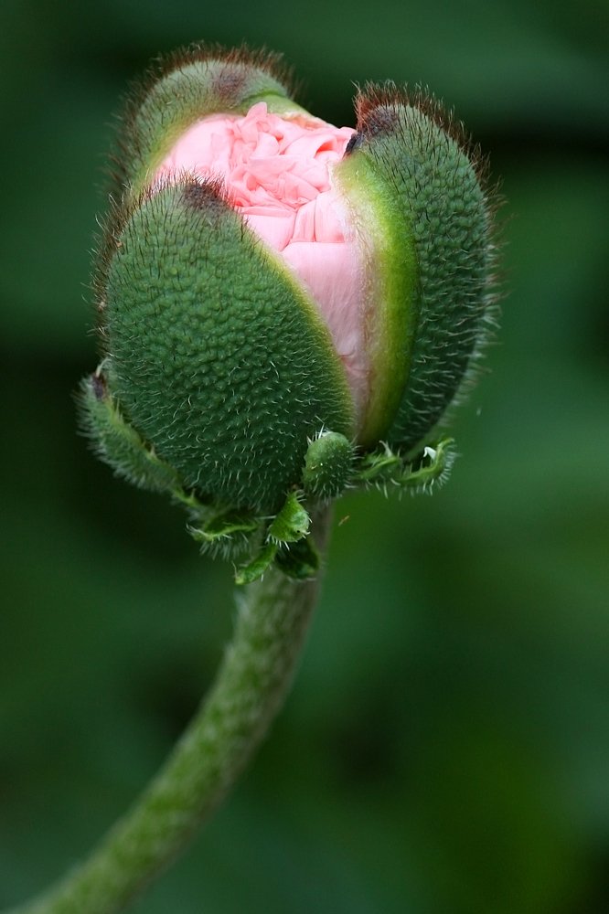 Photograph by Людмила Травина