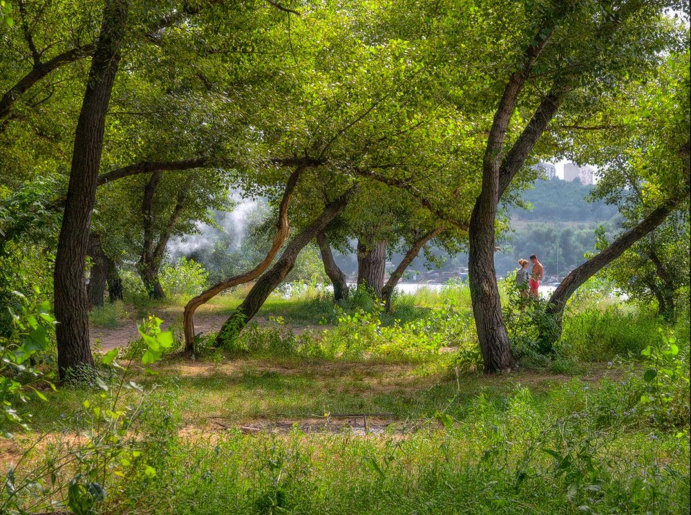 Фотография автора Татьяна Корнус