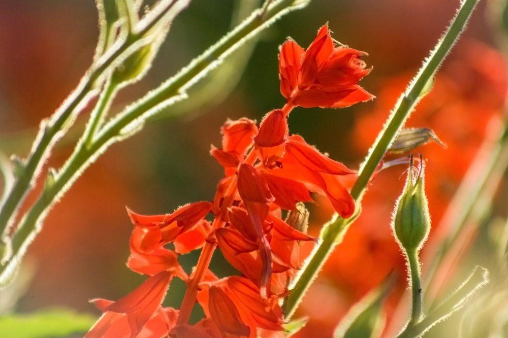 Photograph by Ольга Заповедная