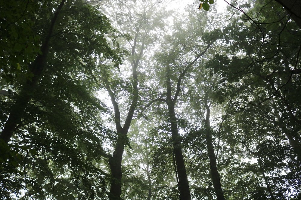 Photograph by Анастасия Гасанова