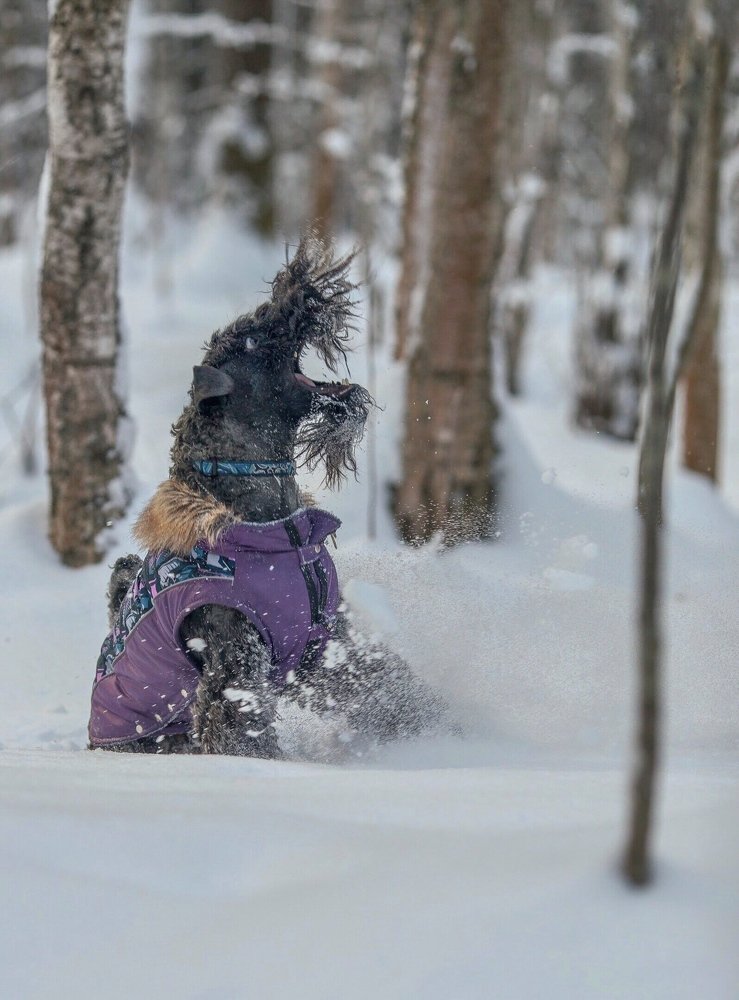 А поговорить?