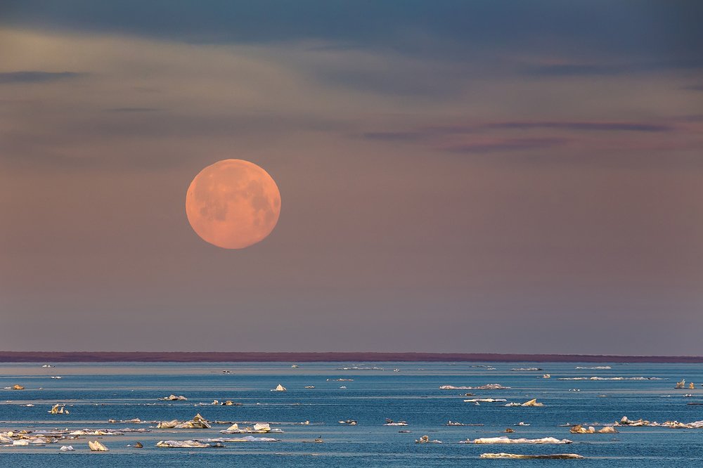 Фотография автора Кирилл Уютнов