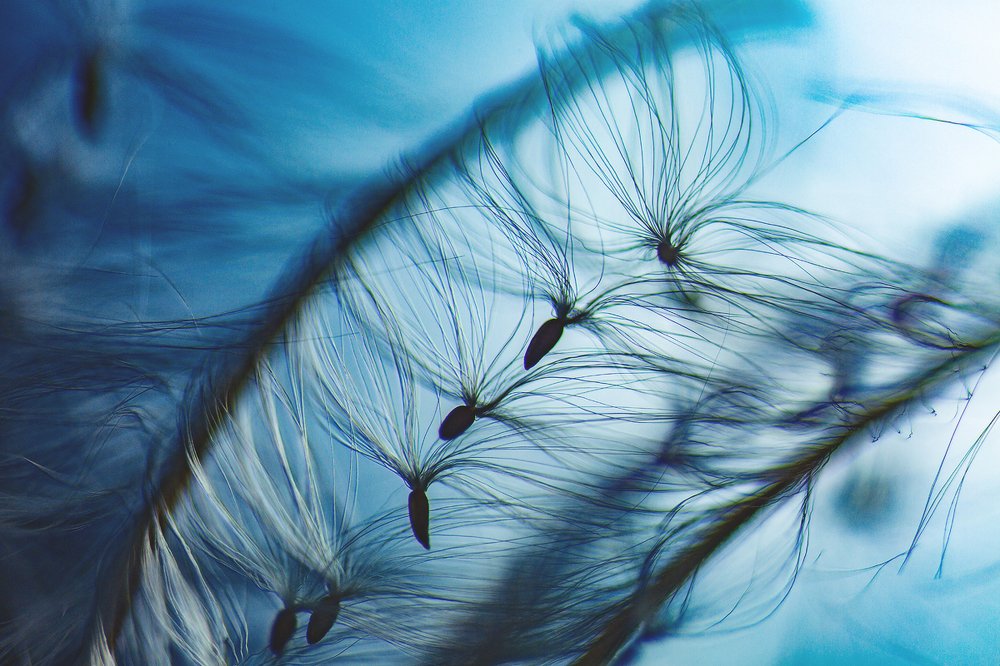 Photograph by Иван Радьков