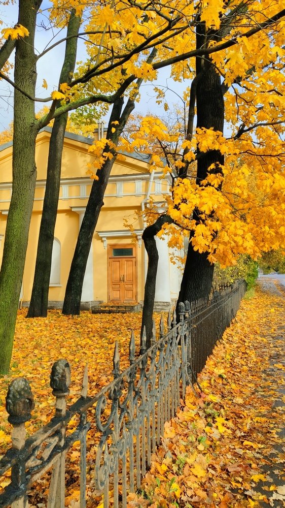 Photograph by Лукина Наталья