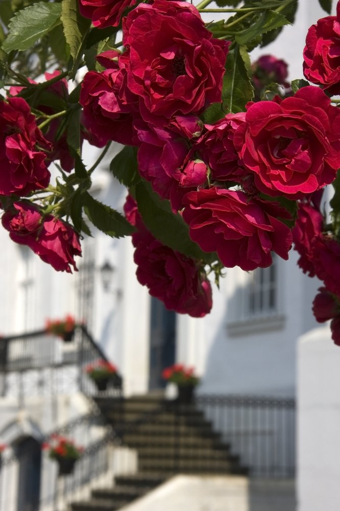 Photograph by Людмила Травина