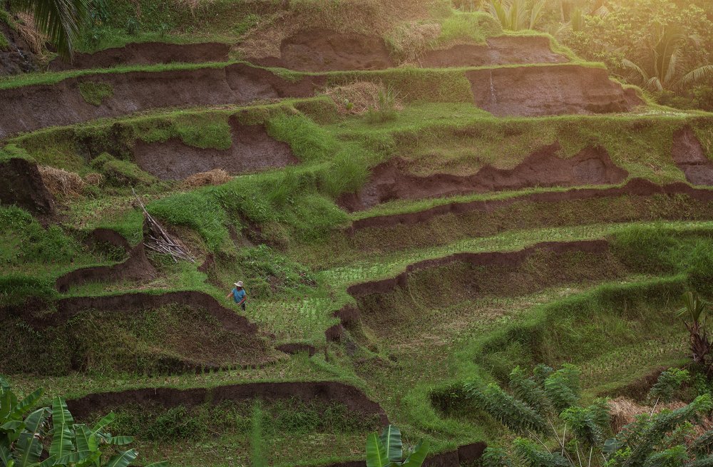 Photograph by Olga Shulzhitskaya