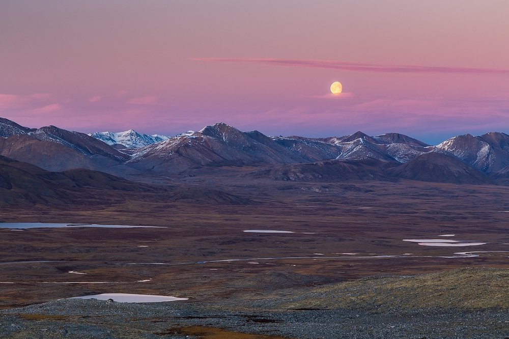 Фотография автора Кирилл Уютнов