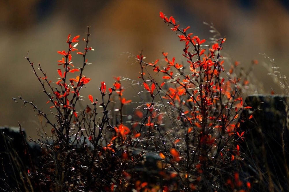В октябре на Семинский перевале