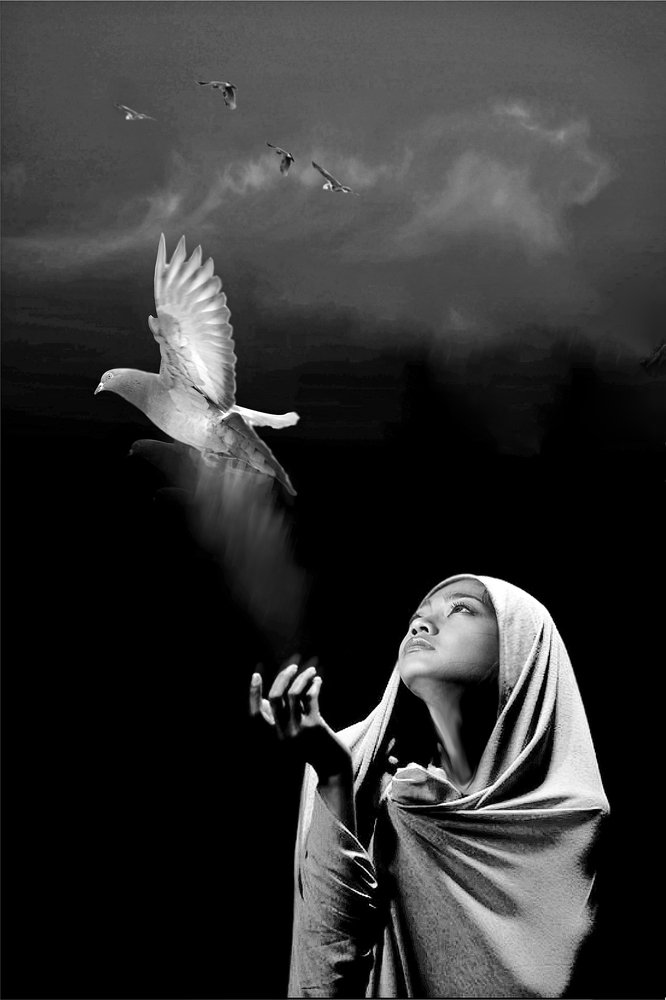 Photograph by Vy Van Bui