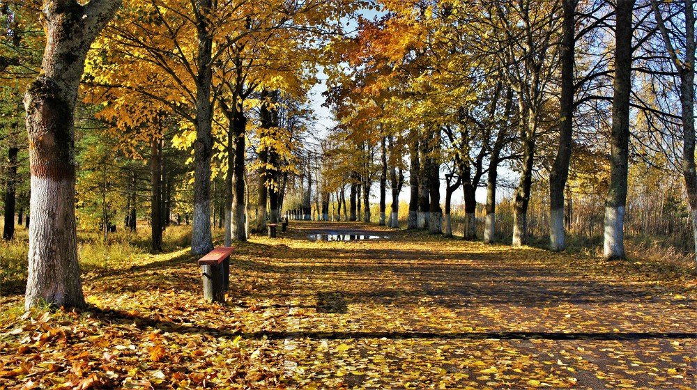 Photograph by Екатерина Апрелева