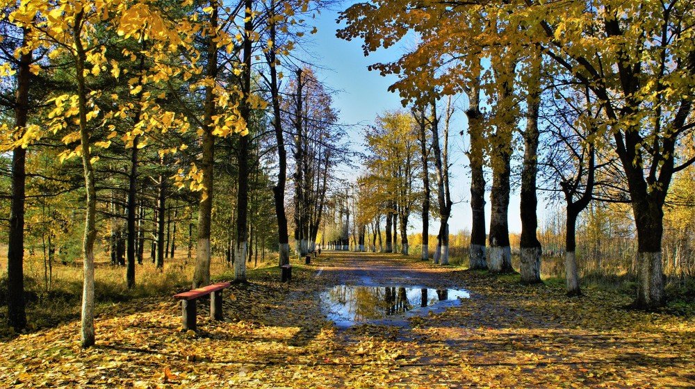 Photograph by Екатерина Апрелева