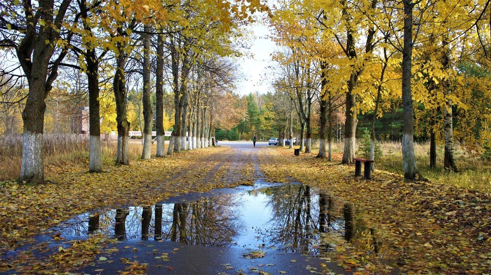 Photograph by Екатерина Апрелева