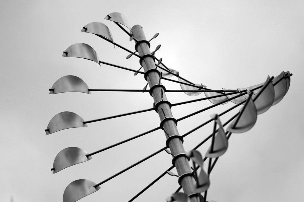 Photograph by Olga Oginskaya