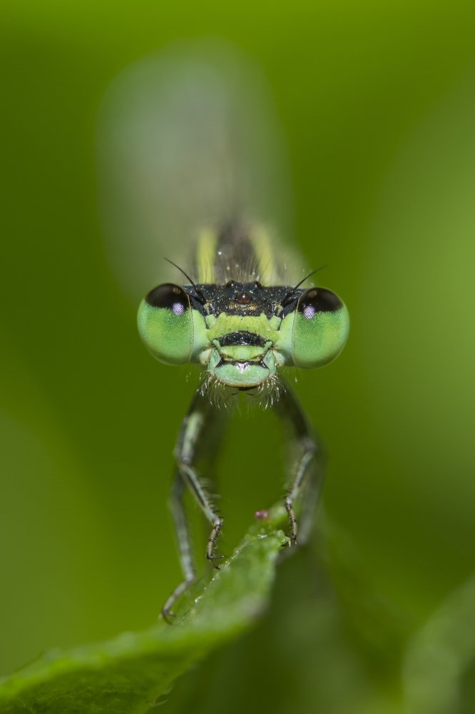 Photograph by Vivek Sharma