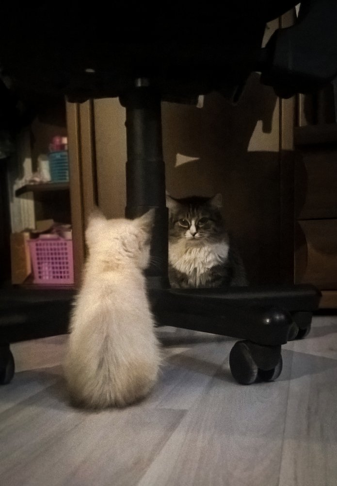 Photograph by Сергей Захаров