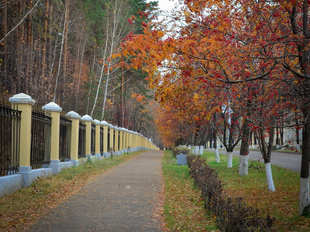 Photograph by Сергей Глухарев