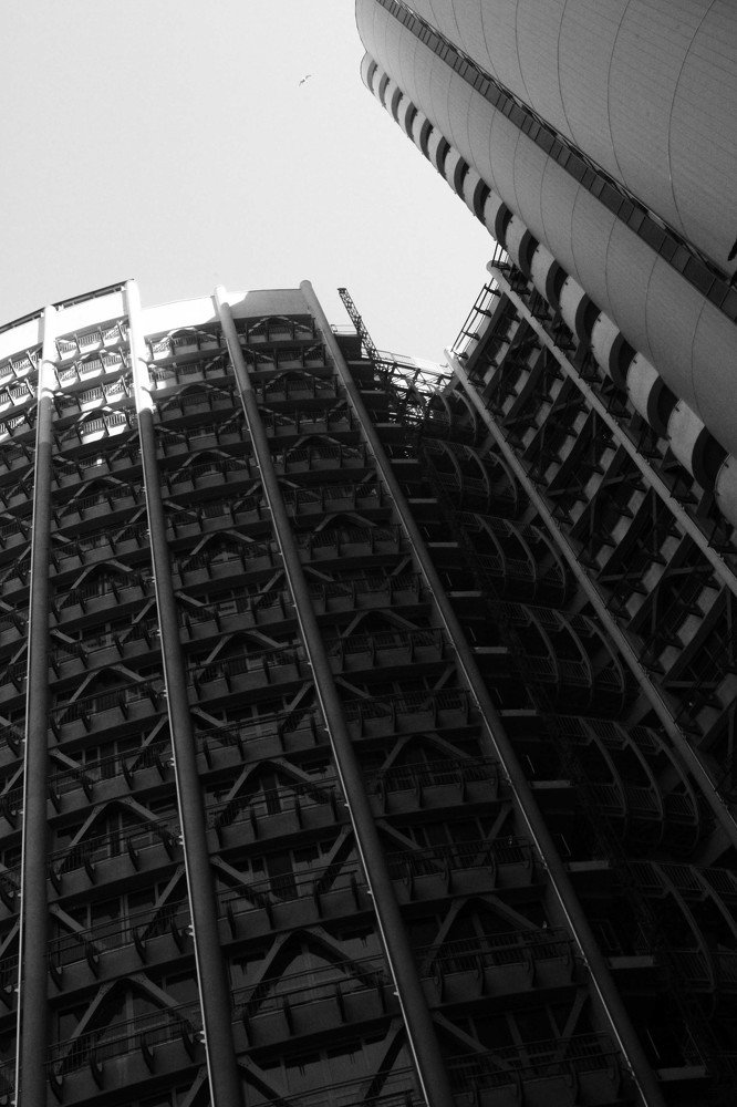 Photograph by Ангелина Журавлева