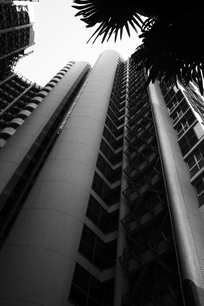 Photograph by Ангелина Журавлева