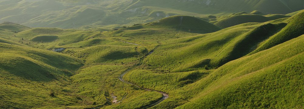 Фотография автора Димитрий Евтушик