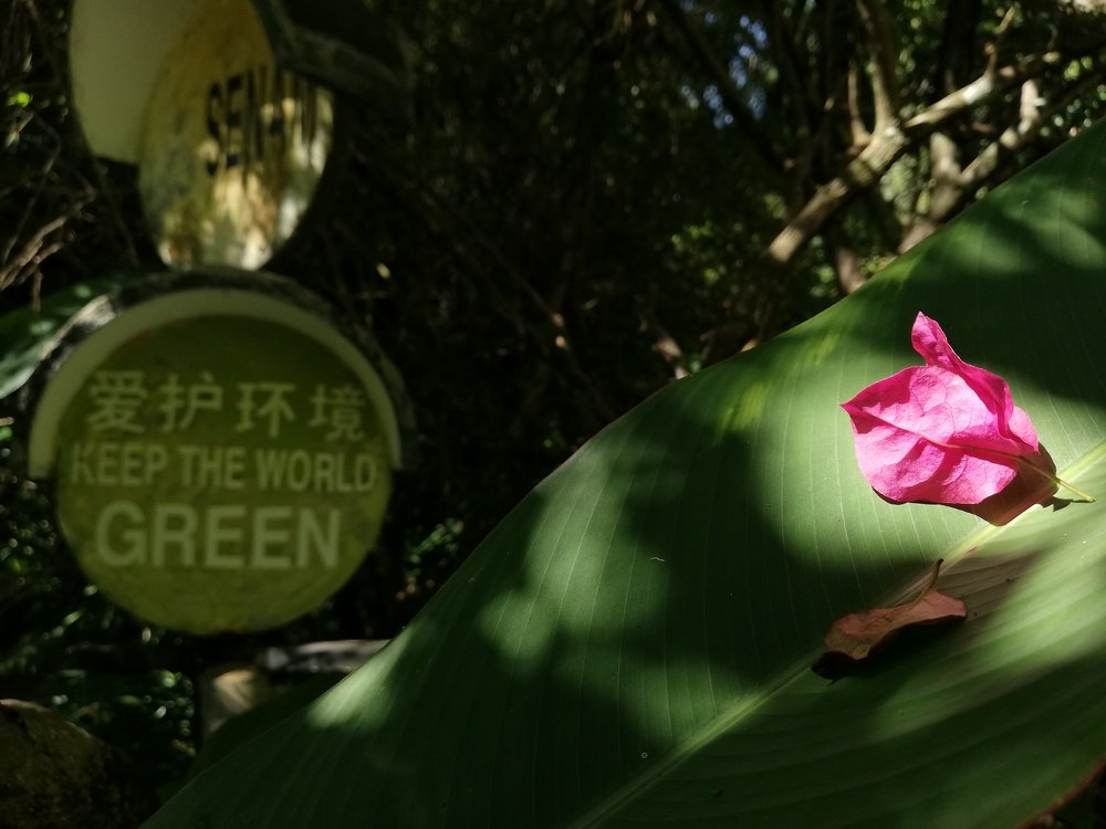 Green LOVE