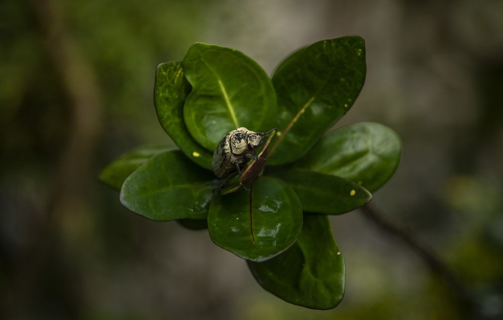 Photograph by Jhony Jee Jee