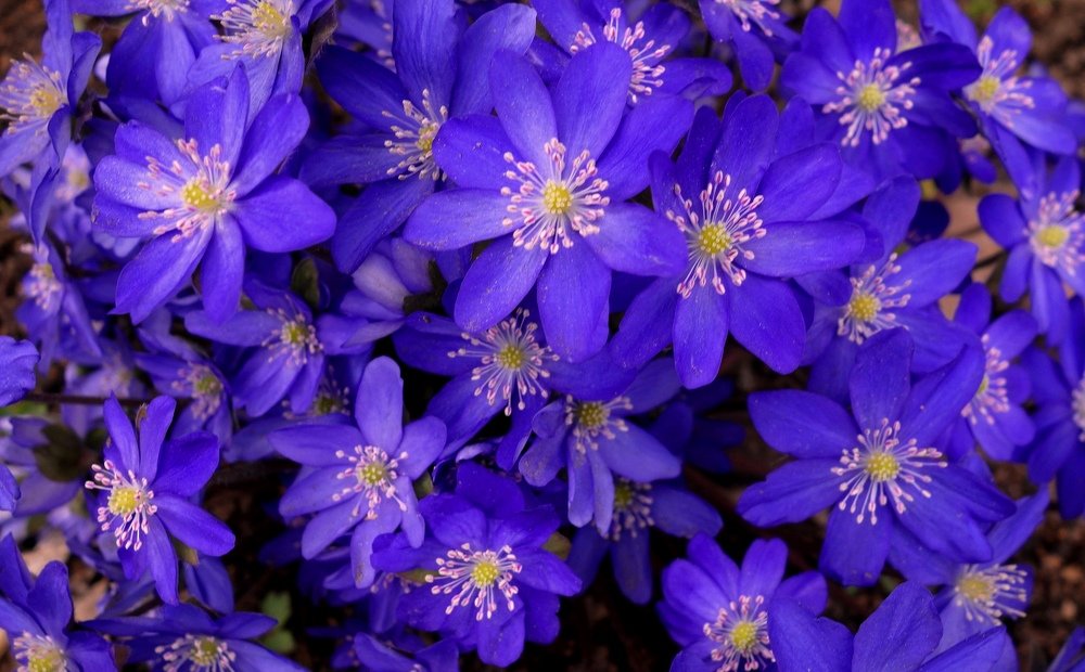 Photograph by IRINA KORNEVA