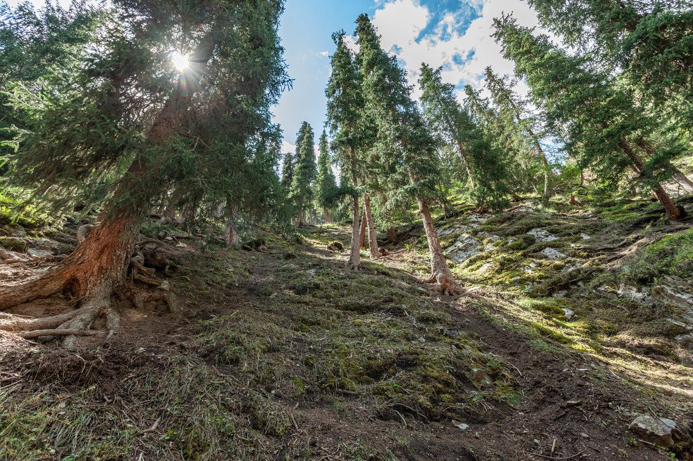 Photograph by Andrew Mikhaylov