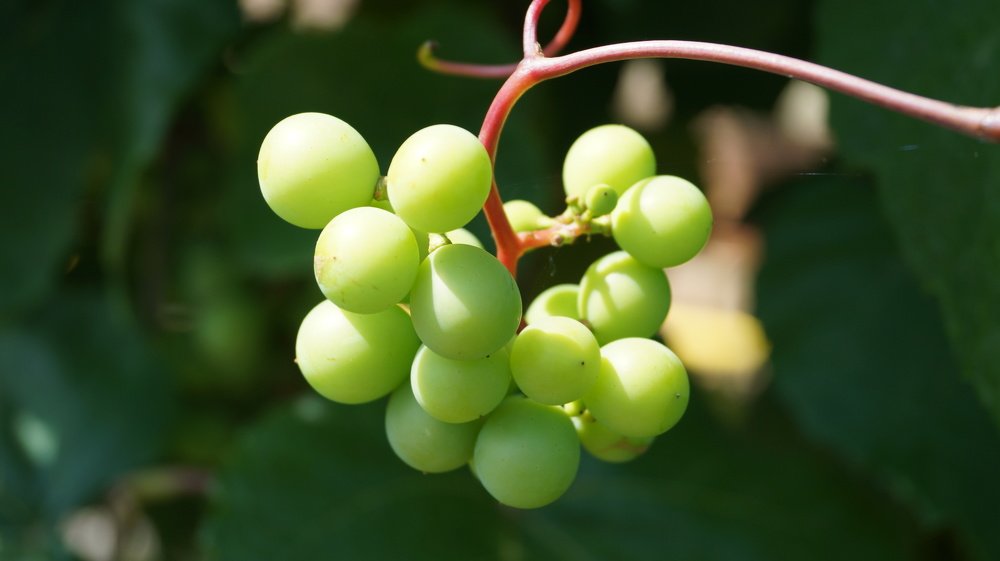 Фотография автора Наталия Привал