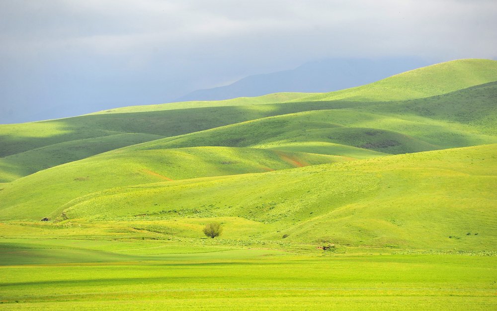 Photograph by Рахат Керимбаев