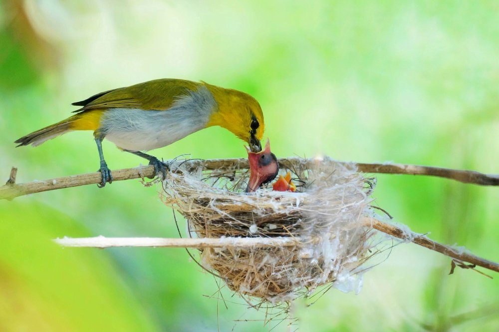 Фотография автора afran afan