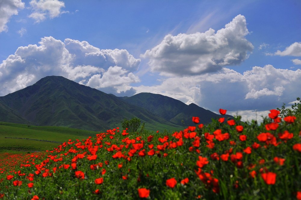 Photograph by Рахат Керимбаев