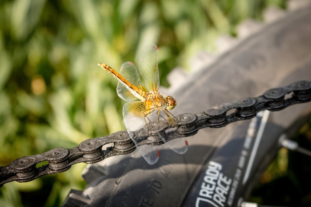 Photograph by Сергей Захаров