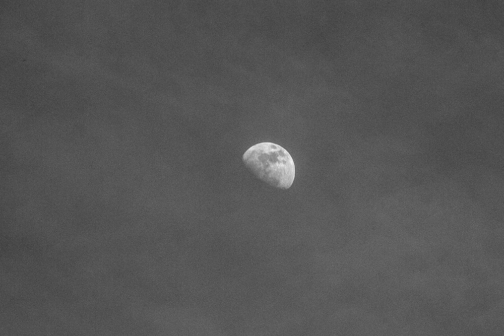 Photograph by tamaddon homayoun