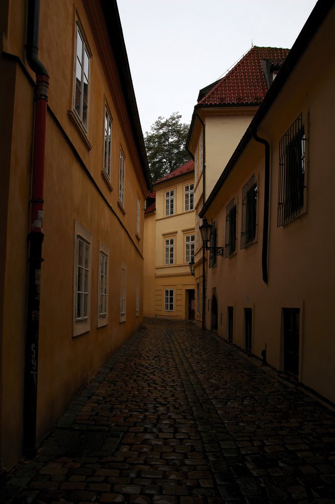 Photograph by Sergey Pavlov